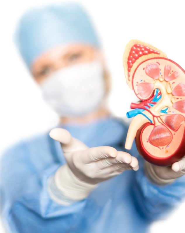 nephrologist nephrologist